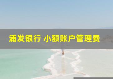 浦发银行 小额账户管理费